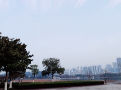 -月湖风景区