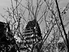 -西安博物院