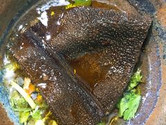 -渝大龙重庆火锅(温泉月亮湾店)