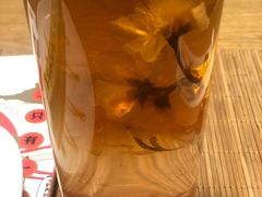 -柴务处·柴犬主题狗咖