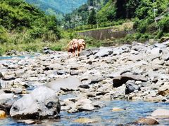 -神农溪纤夫文化旅游区