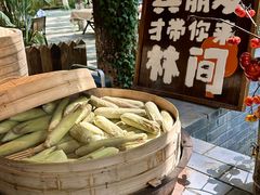 -林间山庄