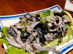 -喜喜水饺