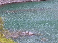 -叠溪松坪沟景区