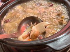 -蘑统田下·野生菌火锅