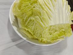 白菜-鑫龙火锅城(阳光新路店)