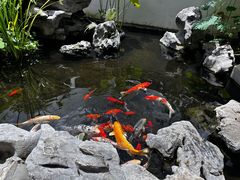 -道南書院·私房菜·早午茶·茶馆