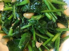 炒芥兰苗-朝郡酒家·粤菜(燕大星苑店)