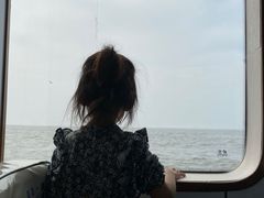 -大鹿岛