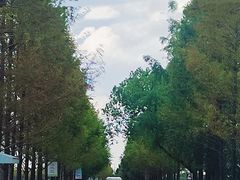 -嘉北郊野公园