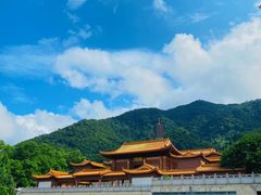 -深圳仙湖植物园