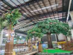 -南宫温泉水世界