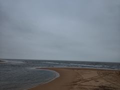 -日照海滨国家森林公园