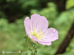 -下渚湖·湿地公园