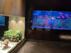 -九洲喜来登酒店湖月日餐厅