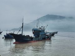 -北岐滩涂