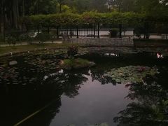 -深圳国际园林花卉博览园