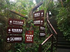 -呀诺达热带雨林