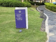 -采悦轩中餐厅·粤菜·海南菜(神州半岛喜来登度假酒店)