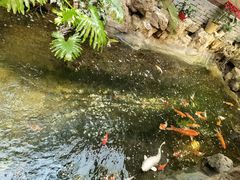 -聚缘堂·海鲜私房菜(松岭路店)