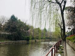 -梅园