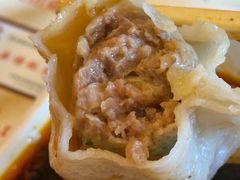 猪肉大葱-新兴园饺子馆(北京百子湾店)