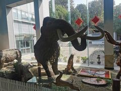 -中国第四纪冰川遗迹陈列馆