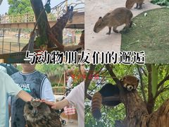 -长兴太湖图影湿地文化园