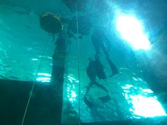 -苏州海洋馆
