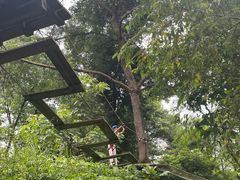 -芦仙山景区-飞越丛林探险乐园