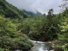-鹿院坪生态旅游景区