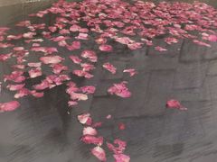 -北京美神宫艺术主题温泉酒店