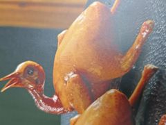 -顺风山庄(水濂山店)