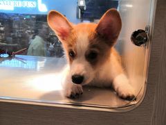 -乐宠宠物店(世纪金源店)