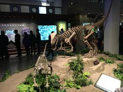 -自贡恐龙博物馆