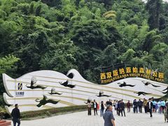 -西双版纳原始森林公园