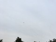 -东北师范大学(净月大街校区)