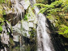 -藏龙百瀑风景区