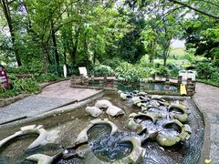 -成都市活水公园