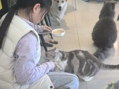-平行世界·猫咖(首经贸店)