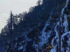 -瓦屋山景区