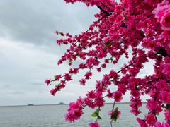 -上海金山城市沙滩