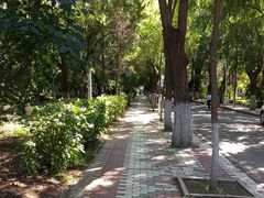 -黑龙江大学