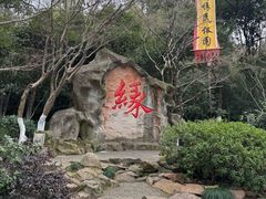 -杭州黄龙洞