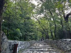 -阳台山自然风景区