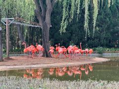 -石家庄市动物园