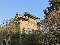-番禺大夫山森林公园