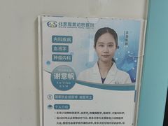 -北京观赏动物医院·24小时大型综合·猫专科·异宠专科