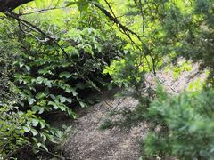 -村上一屋(望京店)