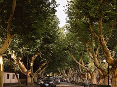 -北山街历史文化街区